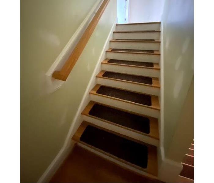 Moldy Stairs